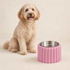 Petal Bold Sakura Pink bowl alongside a Labradoodle