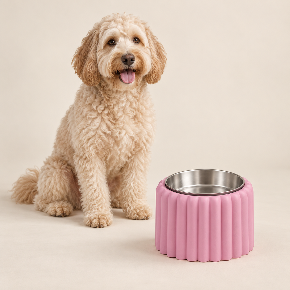 Petal Bold Sakura Pink bowl alongside a Labradoodle