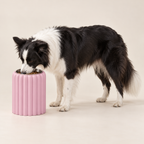 Border Collie beside a Petal Bold Sakura Pink bowl showing a comfortable bowl-rim height