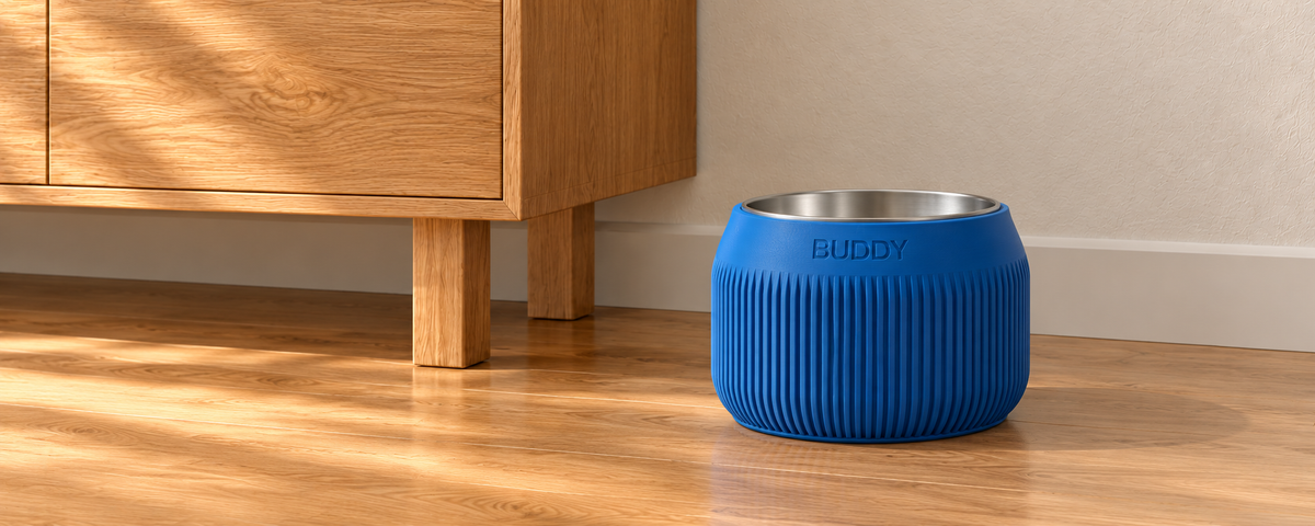 Column dog bowl in Marine Blue beside oak furniture.