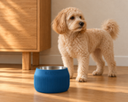 Small dog beside a Marine Blue Column bowl.