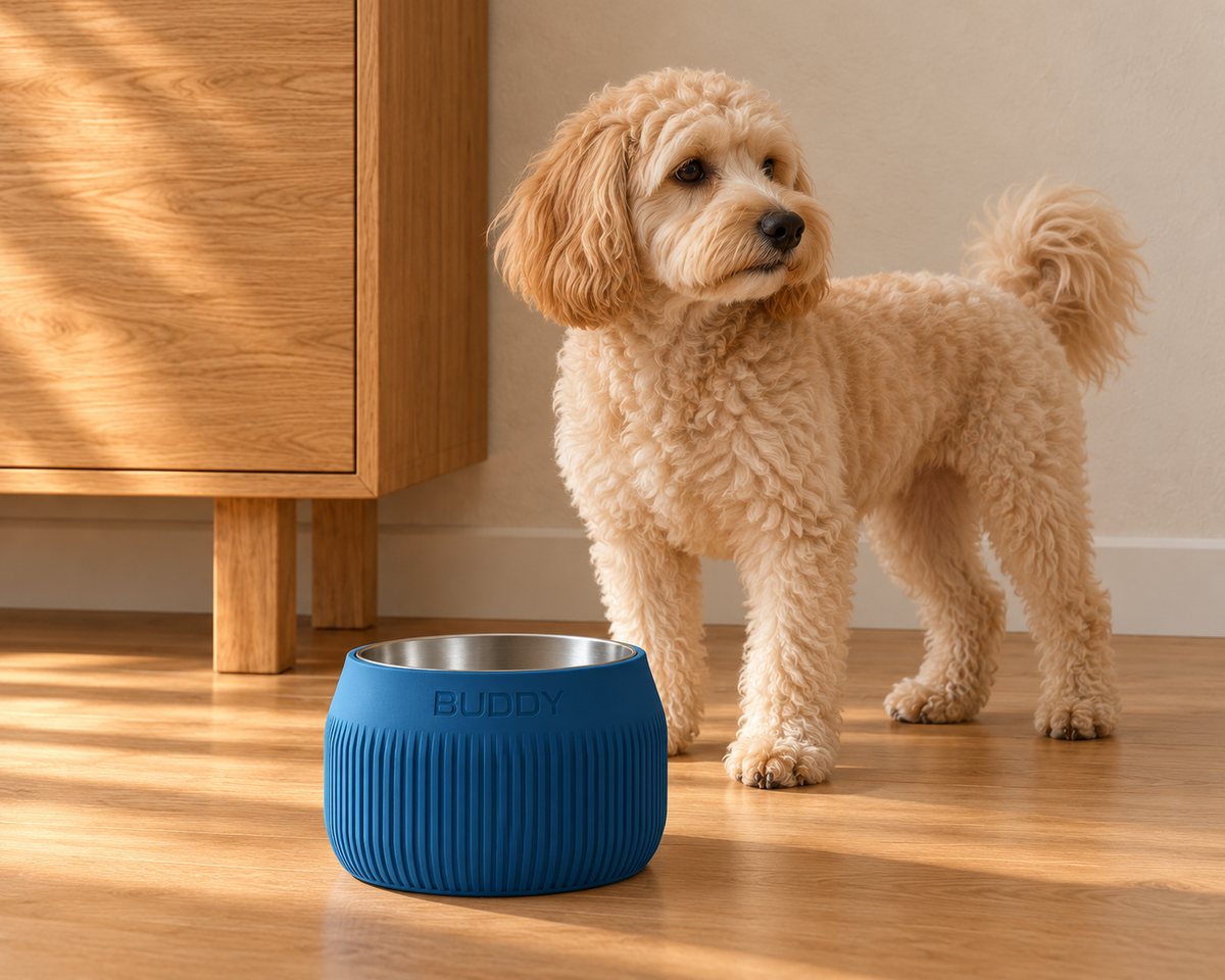 Small dog beside a Marine Blue Column bowl.