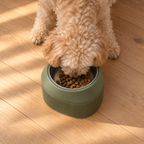 Overhead view of a dog eating from the Cove Half Fluted bowl in Dark Green