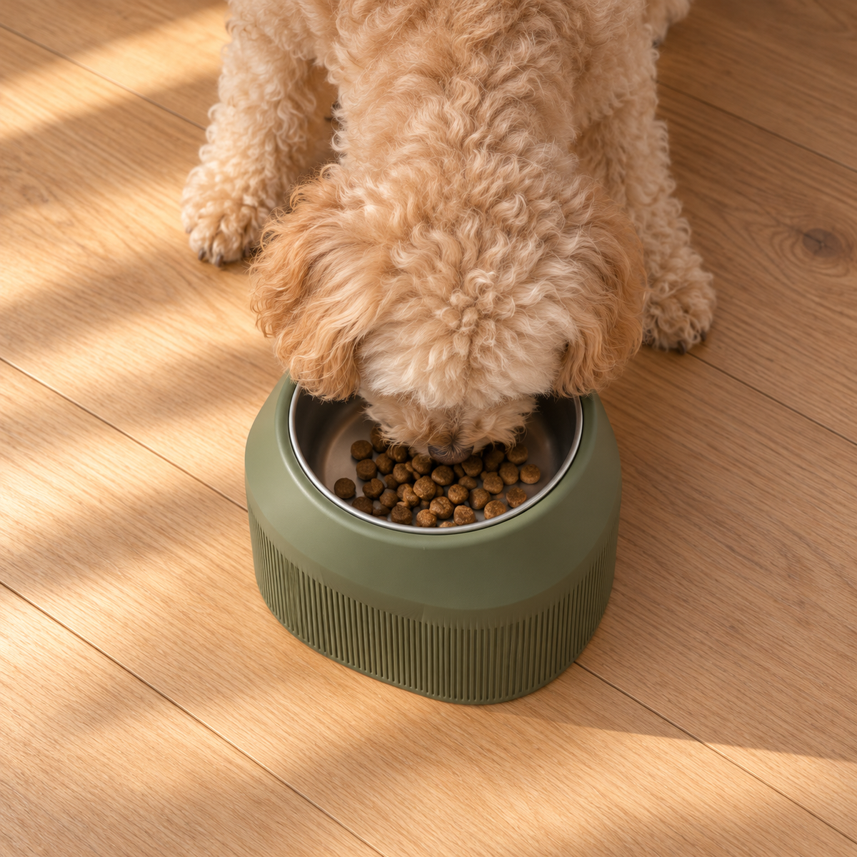 Overhead view of a dog eating from the Cove Half Fluted bowl in Dark Green