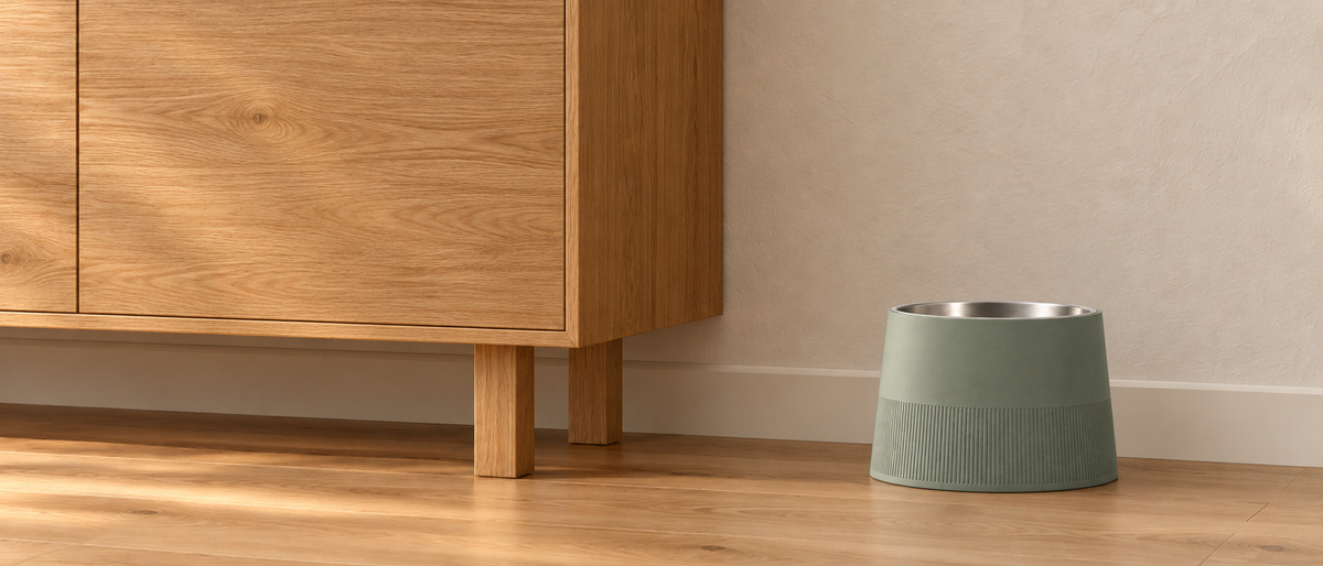 Sage-green raised dog bowl with a stainless-steel liner and fine lower ribs beside a wooden cabinet.
