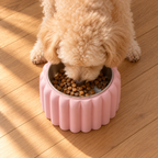 Overhead view of a dog eating from the Petal Bold bowl in Sakura Pink