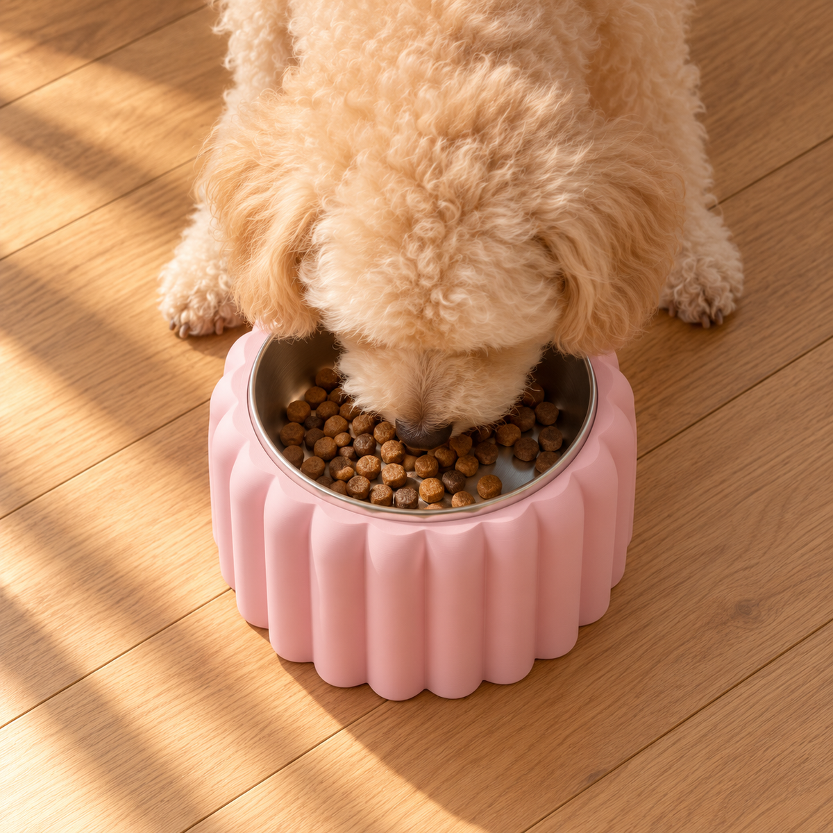 Overhead view of a dog eating from the Petal Bold bowl in Sakura Pink