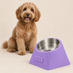 A dog beside the Lilac Purple Contour Tilt bowl in a home setting.