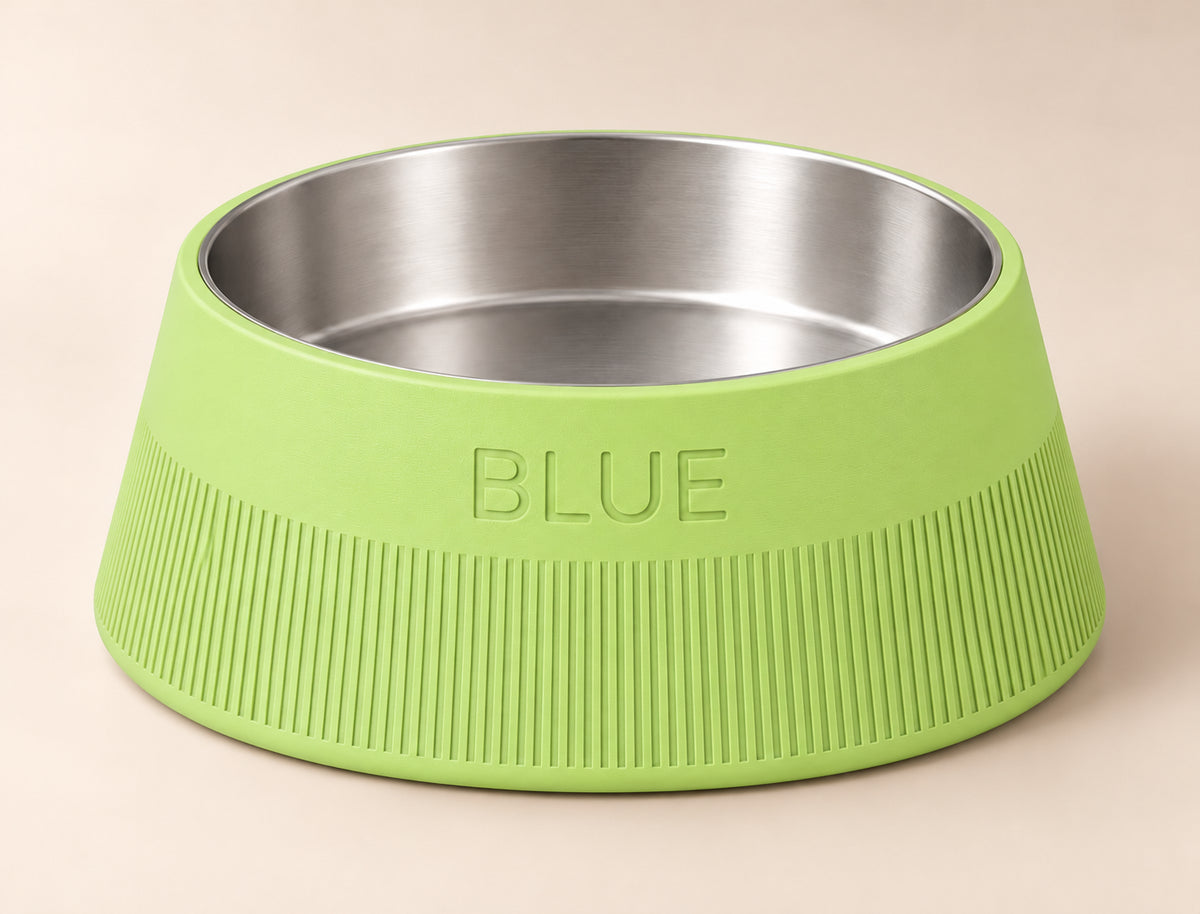 Taper custom-height dog bowl in Apple Green, with a removable stainless-steel bowl; BLUE is an example name