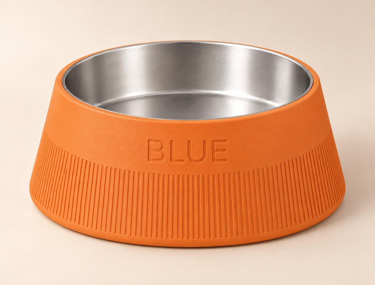 Taper custom-height dog bowl in Mandarin Orange, with a removable stainless-steel bowl; BLUE is an example name